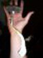 Avatar de Usuario