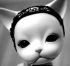 Avatar de Usuario