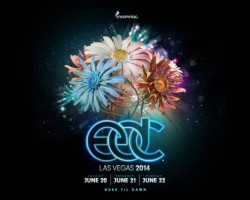 Fallecen Dos Personas En Electric Daisy Carnival Las Vegas 2014