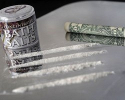 La Droga Caníbal