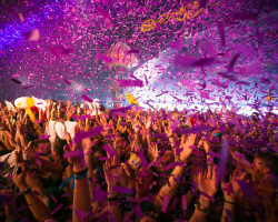 Los 10 Temas Más Taggeados Del Tomorrowland En Shazam