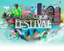 Miami Lleva A Life In Color A Otro Nivel