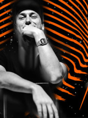 ZEBRA :: DOSEM :: ALDO CÁDIZ:: 15 JULIO