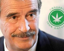 MÉXICO LEGALIZARÁ TODAS LAS DROGAS EN 10 AÑOS
