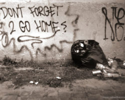 Don’t Forget to Go Home (Feiern 2006) Documental