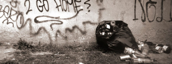 Don’t Forget to Go Home (Feiern 2006) Documental