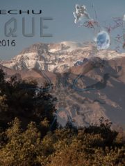 DAYTIME/MOONRISE CELEBRATION (12.00-2100)DS & ART GATHERING