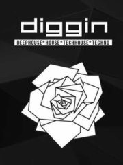 Diggin#11 /Gustavo Allendes/León Ruiz/Paz Moroni