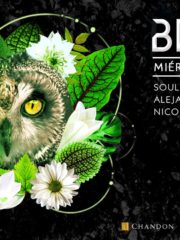 #26 Jano @ BLOOM