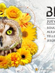BLOOM – Jueves 17 de Agosto – Amanda