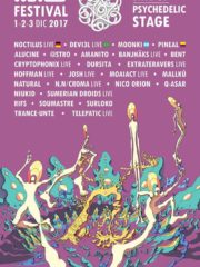 Waves: Festival Open Air 1-2-3 de Diciembre