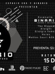 Binario #00110001 – 15/12 – Espacio Cox
