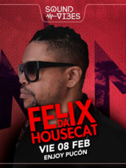 Felix Da Housecat · 8 Febrero · Enjoy Pucón